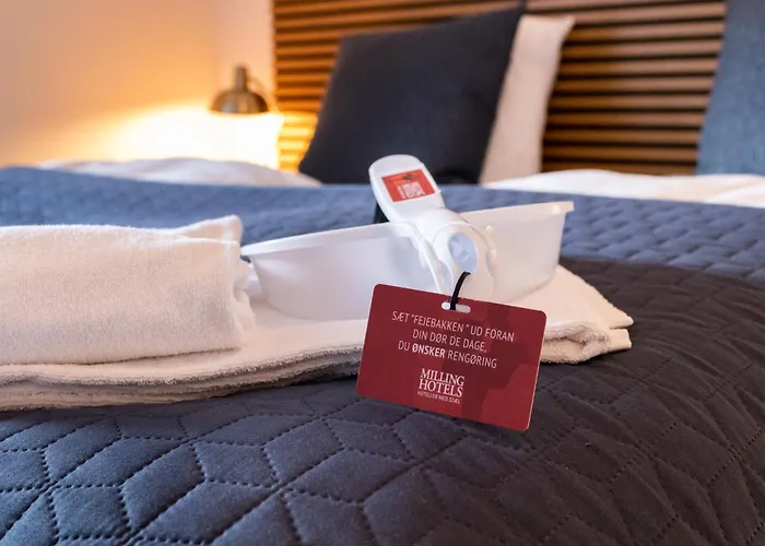 Hotel Milling Windsor 3*